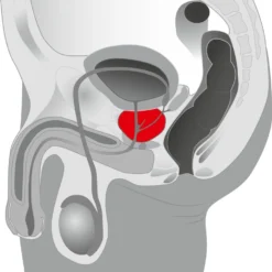 Rocks Off O-Boy 7 Prostate Stimulator By Rocks-off 8 Rocks Off O-Boy 7 Prostate Stimulator By Rocks-off -Rimba Seksshop 05824760000 nor c