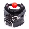 Imitatie Lederen Ballgag Collar-Harnas Met Ø 42 Mm Siliconen Bal 2 Imitatie Lederen Ballgag Collar-Harnas Met Ø 42 Mm Siliconen Bal -Rimba Seksshop Ballgagharness 1