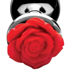 RVS Rode Roos Anale Plug Ø34 Mm 13 RVS Rode Roos Anale Plug Ø34 Mm -Rimba Seksshop af634 l 3 661x750 1