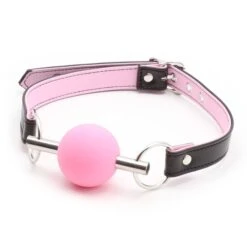 Bit Ball Gag Ø 45 Mm - Pink