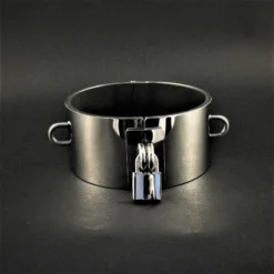 Hooggepolijste 2 Mm Edelstalen Halsband Brede Uitvoering Met D-ringen Van Lust & Liebe