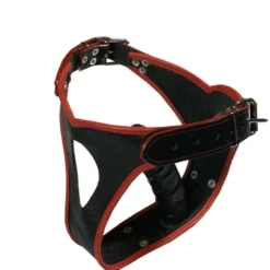 Lederen Strap-on Dildo Slip Van Ledapol -Rimba Seksshop le 8070 leather brief with dildo 8070 27452