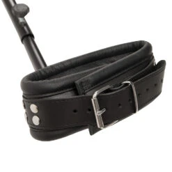 Leather Pillory By ZADO -Rimba Seksshop or 20305781001 06 1