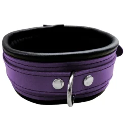 Saxos Narrow Purple/Black Collar