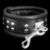 Luxe Halsband Met Draaibare RVS Ring Van Saxos 2 Luxe Halsband Met Draaibare RVS Ring Van Saxos -Rimba Seksshop os 0103 1s padded leather collar with strong rotating ring 3661