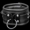 Halsband Met Geslaste Ring Van Saxos -Rimba Seksshop os 0112 1 leather collar with welded ring 4019