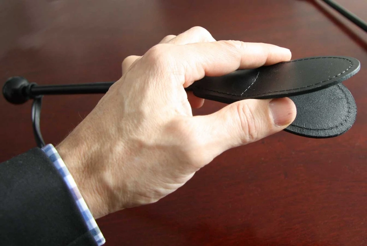 Geniet Van Het Stimulerend Effect Van De Lederen Split Crop Van Saxos 4 Geniet Van Het Stimulerend Effect Van De Lederen Split Crop Van Saxos - Afbeelding 2