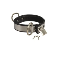 Halsband Van Leder / Metaal En Hangslot Van Rimba 7524 -Rimba Seksshop ri 7522 leather collar with metal and padlock 25207