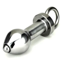 Holle Permanente RVS Anaalplug